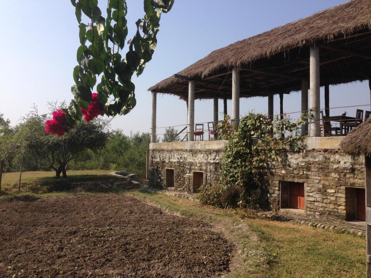 Shanta Ghar A Rustic Guesthouse Chitwan Extérieur photo